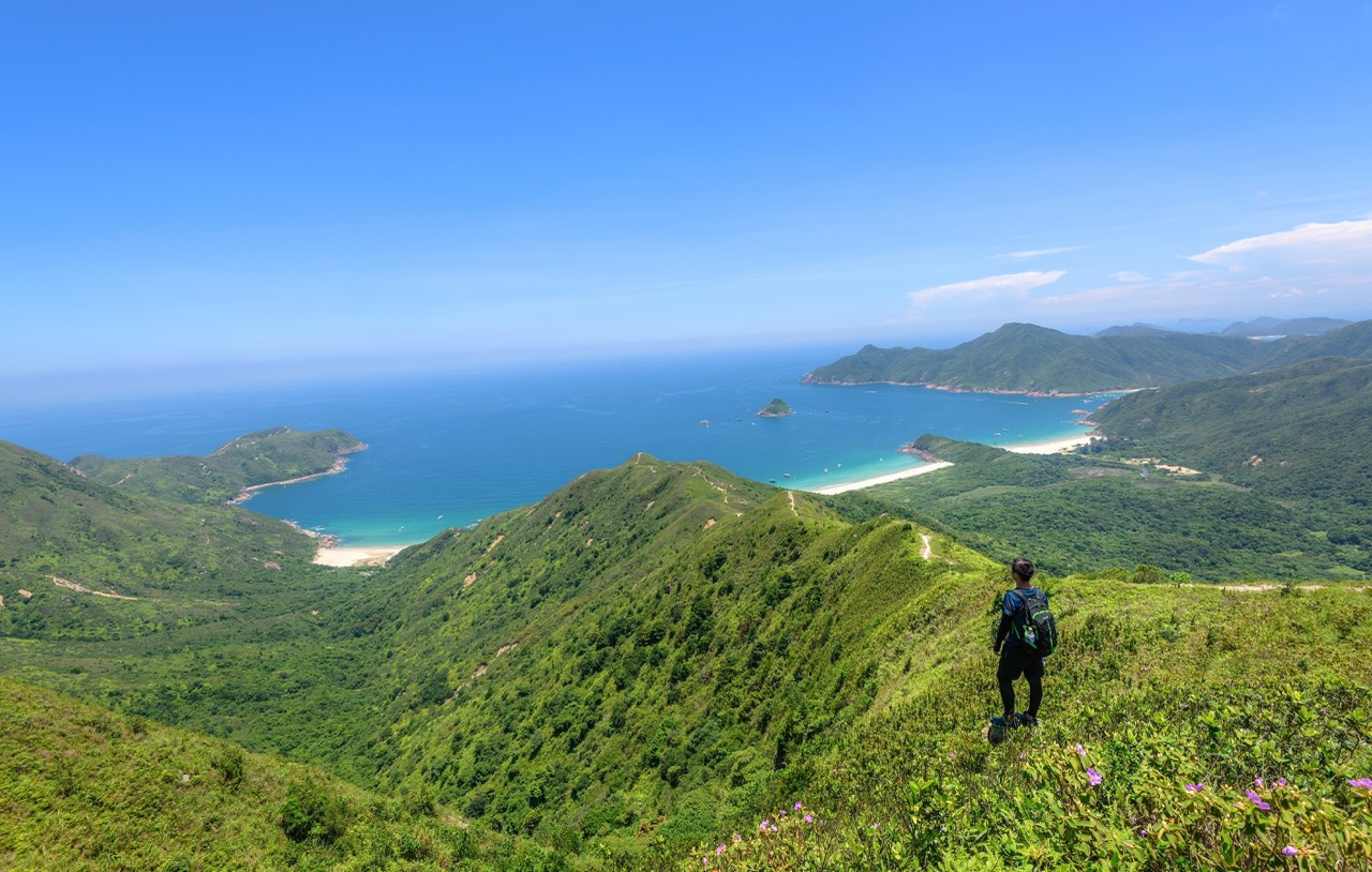 Montagnes tropicales