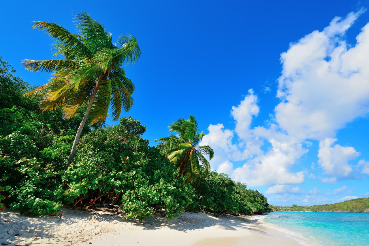 Plages paradisiaques